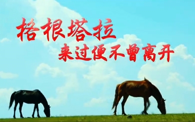 &#21326;&#20159;&#24179;&#21488;&#45;&#21326;&#20159;&#65288;&#20013;&#22269;&#65289;&#19968;&#31449;&#24335;&#26381;&#21153;&#24179;&#21488;
